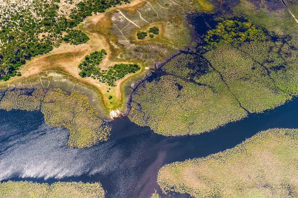 Okavango Delta