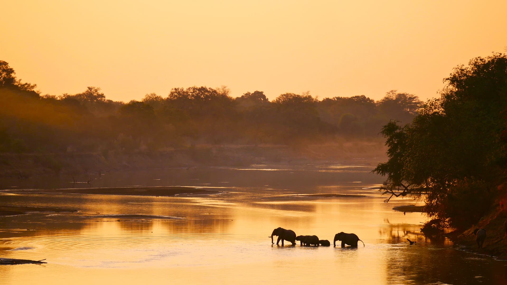 South Luangwa