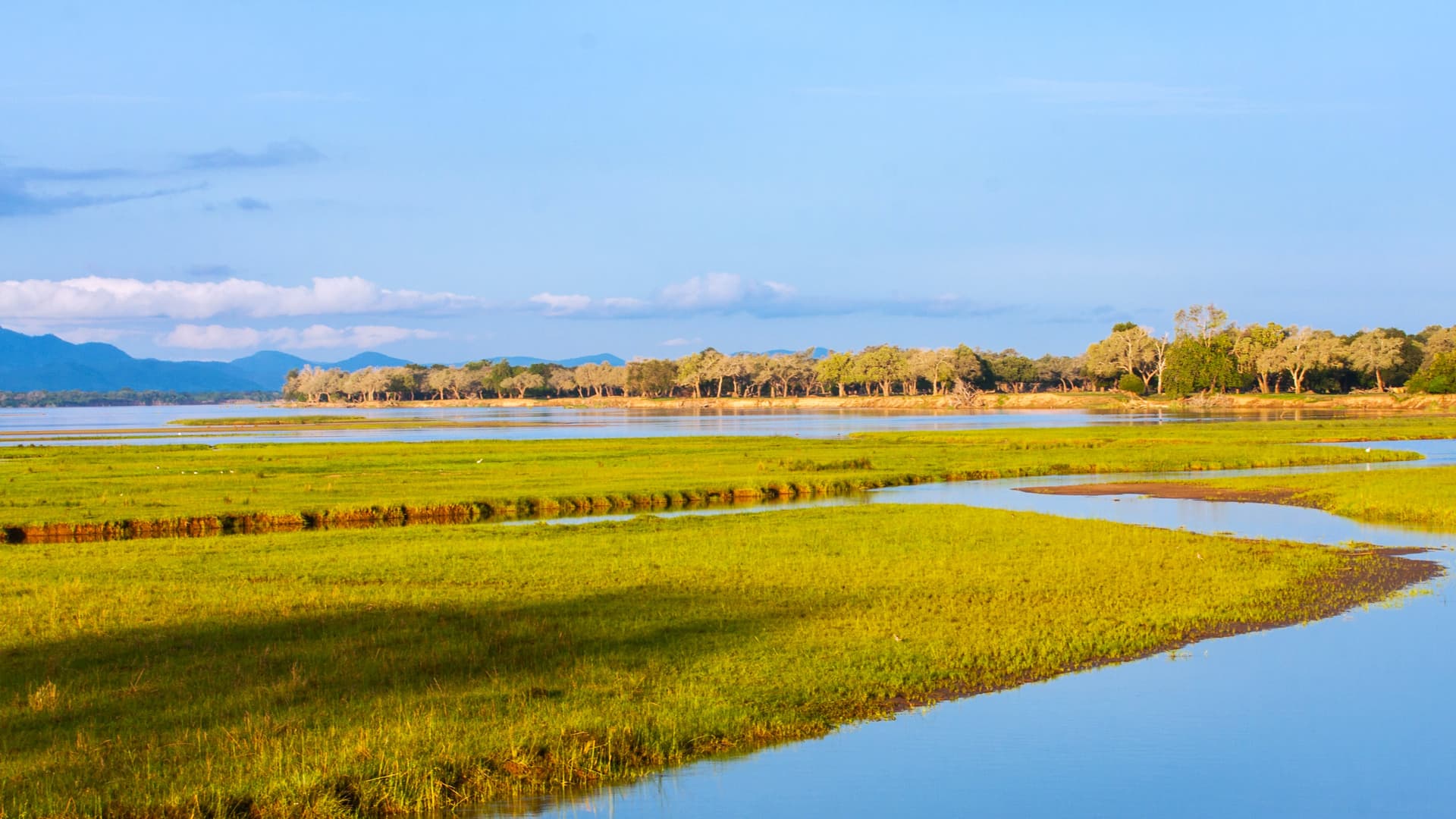 Liuwa Plain and Zambia's Wild West